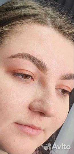 Бровист, Оформление бровей, окрашивание