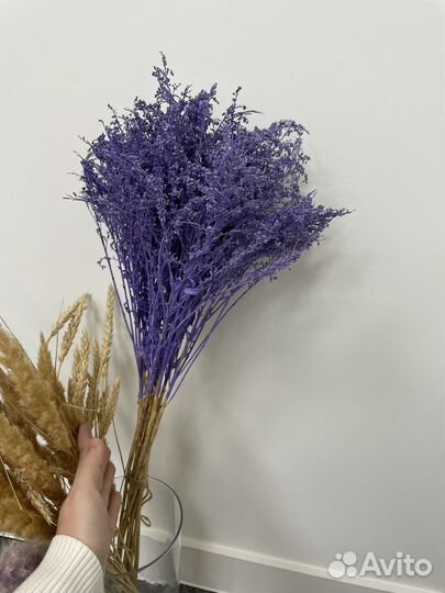 Сухоцветы. Крашенная