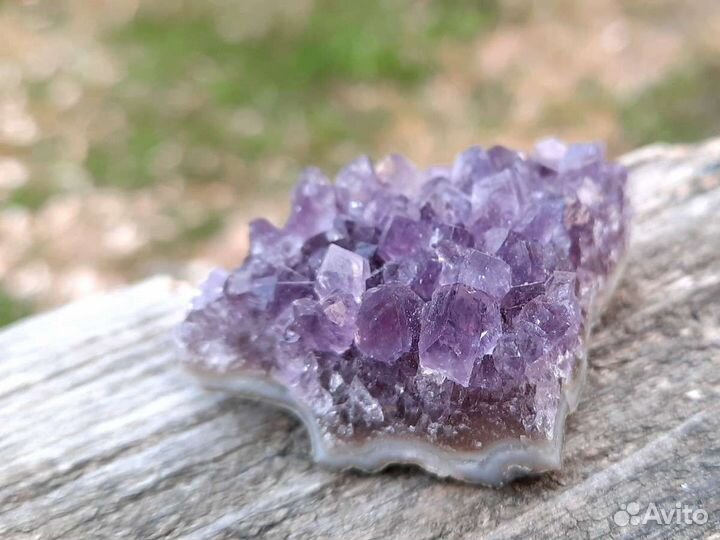 Аметист Друза Кристалл Камень