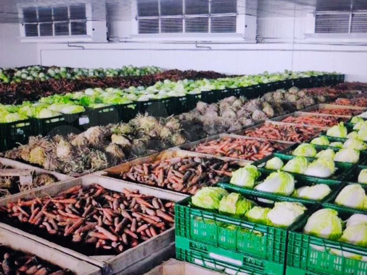 Склад - холодильник, 145 м²