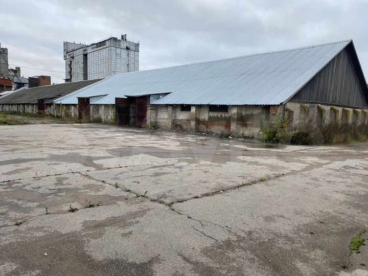 Склад, 1950 м²