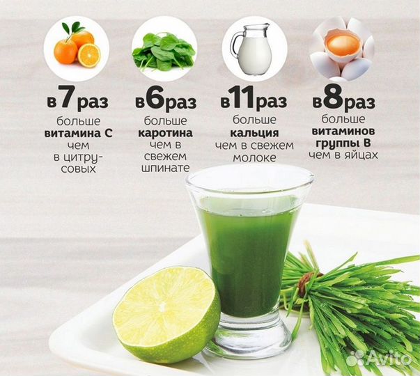 Витграсс, сок из проростков пшеницы