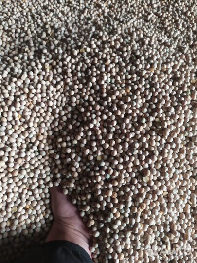 Горох цельный неколотый