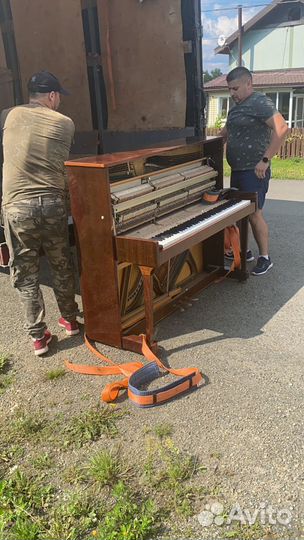 Грузоперевозки переезды газель грузчики