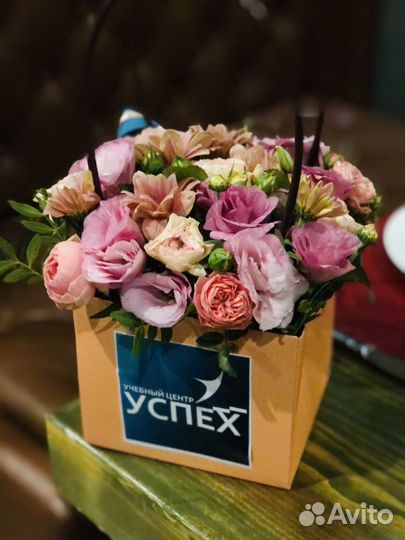 Обучение курсы/бухгалтерские курсы/трудоустройство