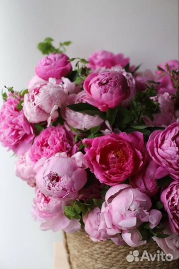 Букет пионов