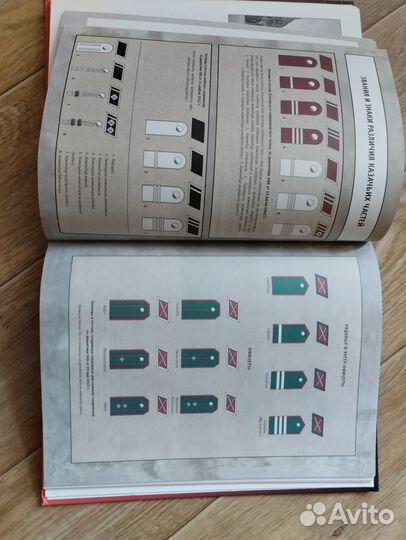 Книга казаки Паннвица