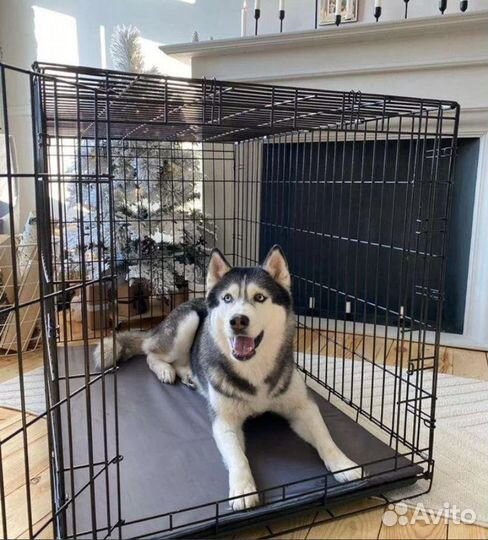 Клетка для собак Бесплатная доставка