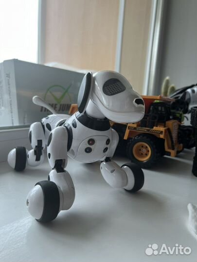 Игрушки на радиоуправлении