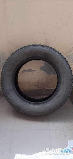 Tigar Winter 205/65 R16 95H