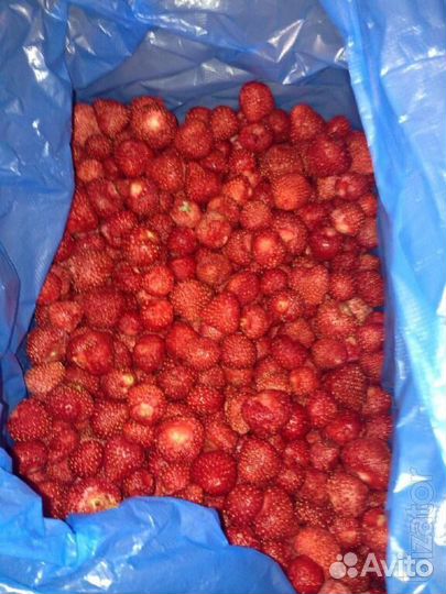 Земляника замороженная крупный опт