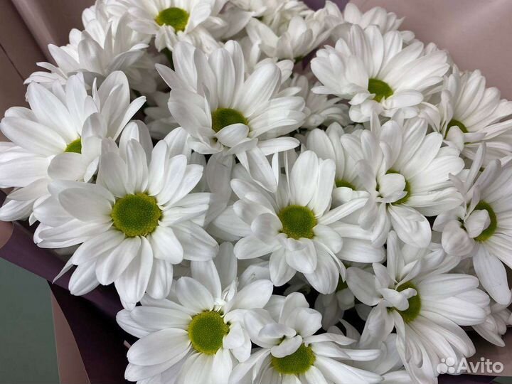 Цветы,Розы и Букеты с доставкой,ромашки