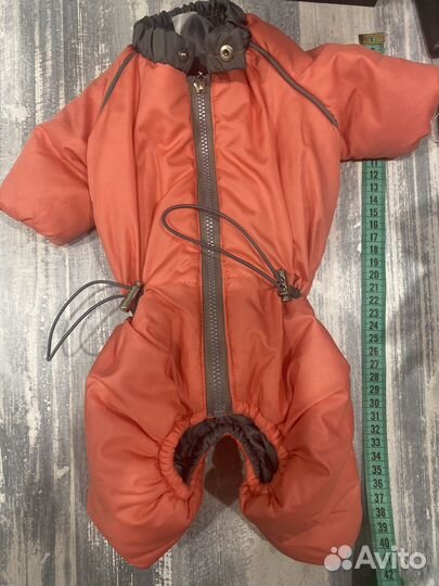 Вещи для маленьких собак