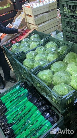 Айсберг салат