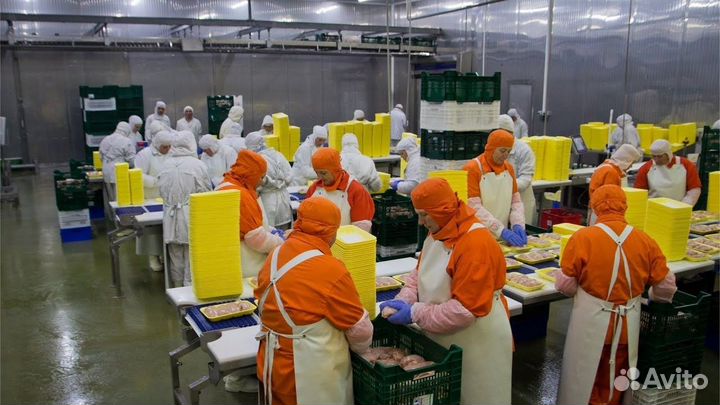 Приглашаем на работу на птицефабрике, вахта