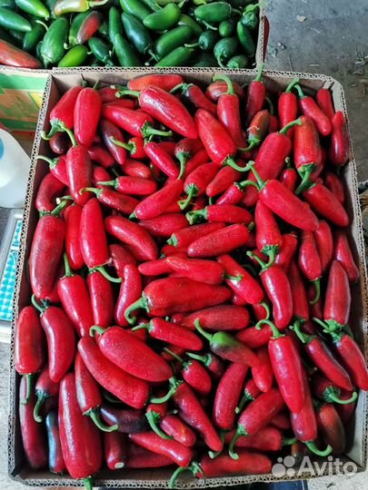 Перец «Халапеньо»