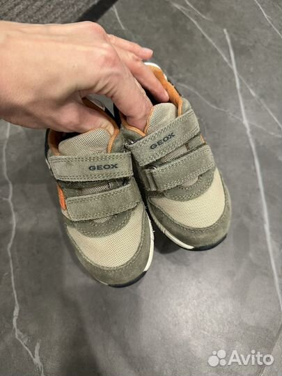 Кроссовки geox размер 24