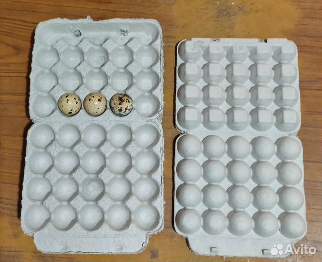 Упаковка для перепелиных яиц