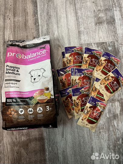 Корм для собак