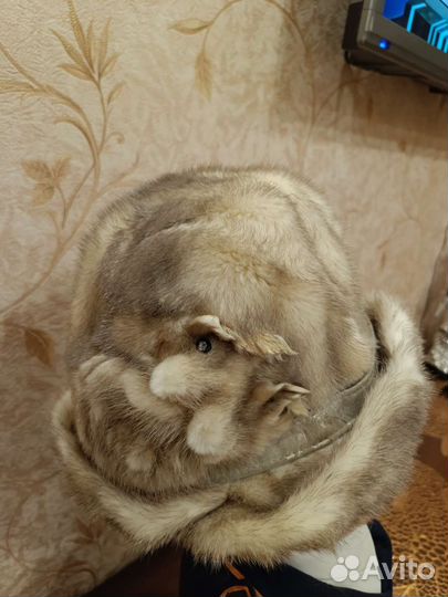 Шапка норковая