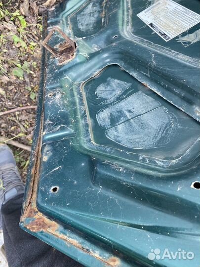 Капот Фокус 1 с петлями