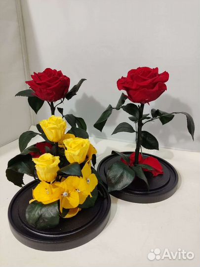 Роза в колбе опт