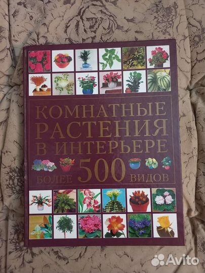 Книга про растения.комнатные растения в интерьере