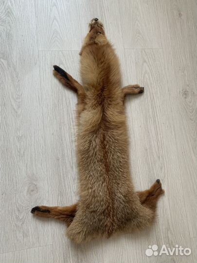 Лисья шкура