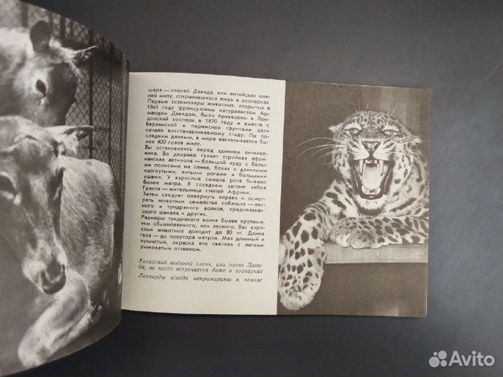 Московский зоопарк.Альбом-путеводитель.1971г