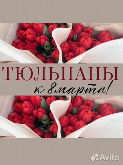 Тюльпаны к 8 марта оптом