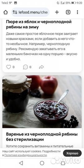 Черноплодная рябина