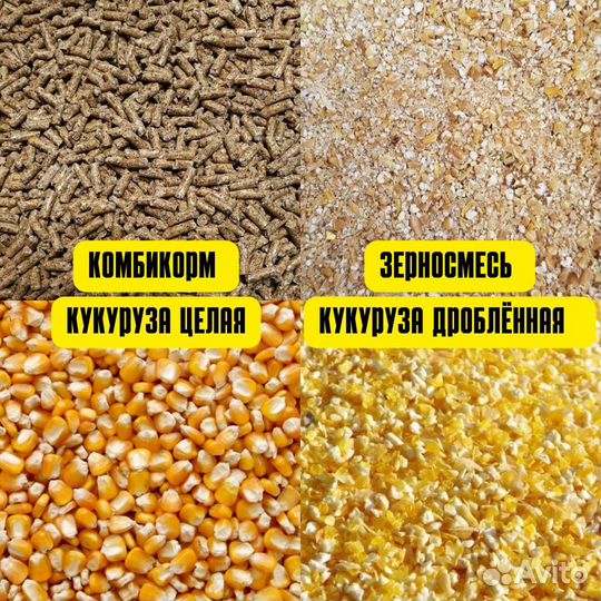 Старт/Рост Отруби Кукуруза Комбикорм Горох Премикс