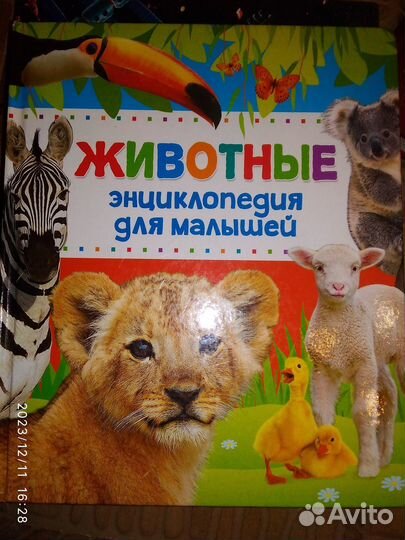 Энциклопедия о животных
