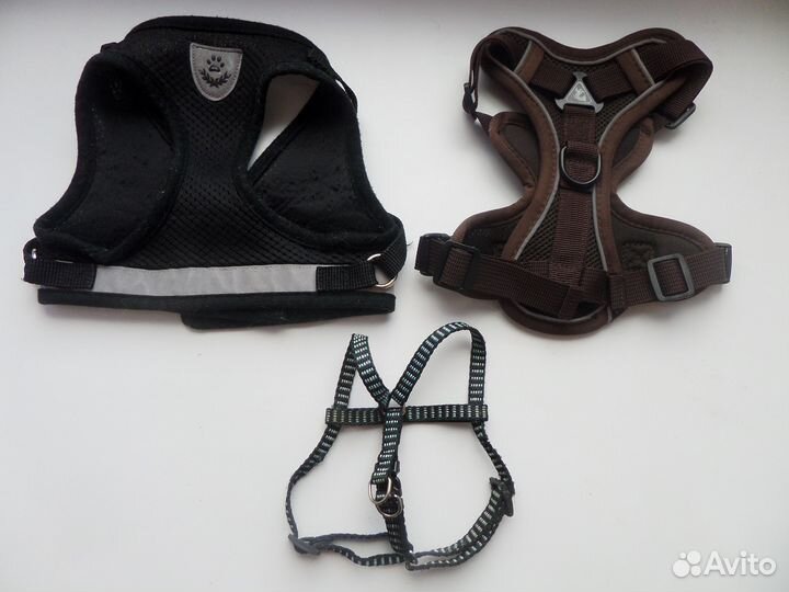 Аксессуары и Одежда для Собаки или Кошки