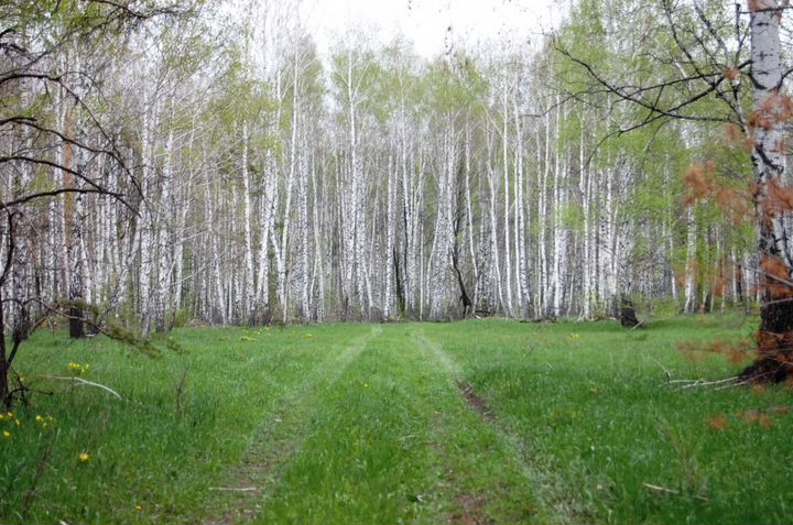 Участок 100 сот. (СНТ, ДНП)