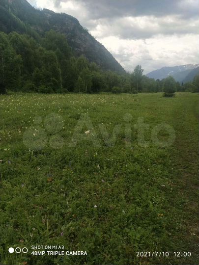 Участок 12 га (СНТ, ДНП)