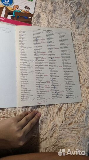 Тренировочные примеры по русскому языку