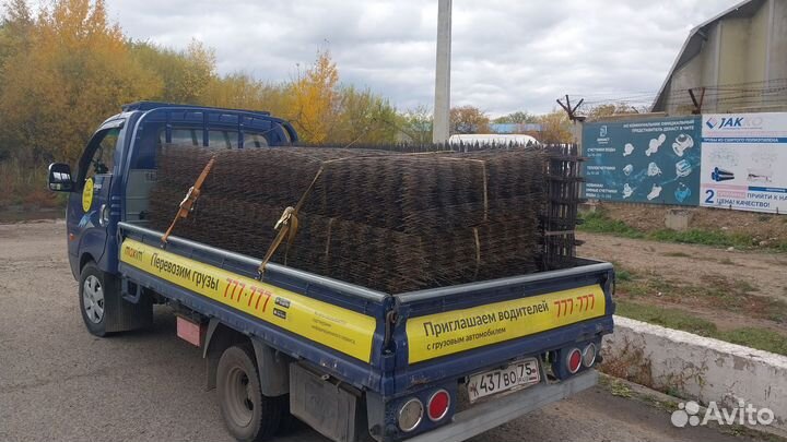 Грузоперевозки