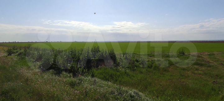 Участок 3,8 га (СНТ, ДНП)