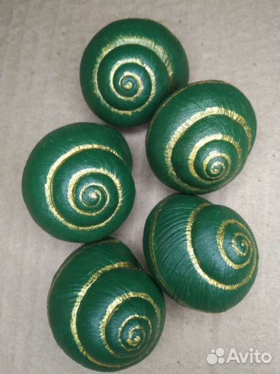 Раковина виноградной улитки