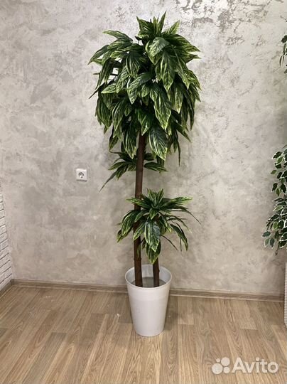 Искусственное дерево манго