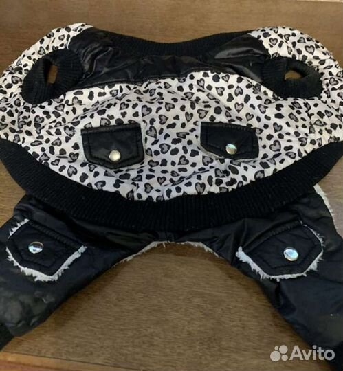 Одежда для собак