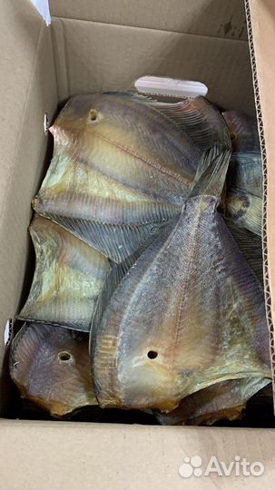 Камбала, мойва вяленая