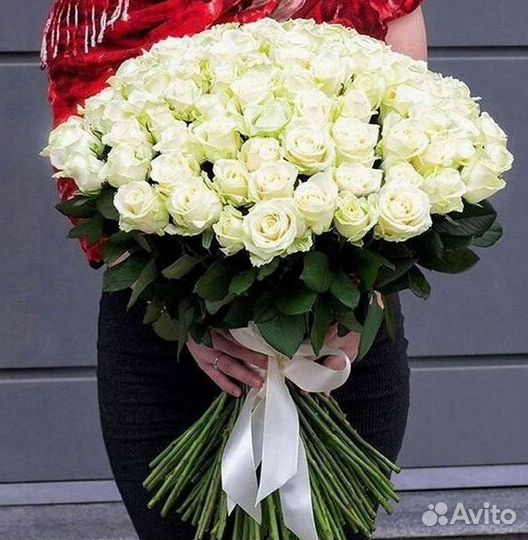 Высокие розы Гигантские розы Доставка цветов