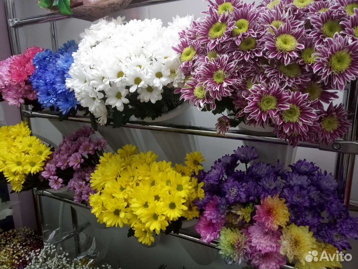 Цветы-розы, хризантема, гвоздика и т.д