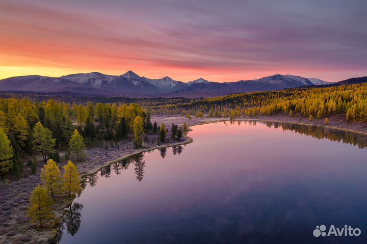 Авторский тур на Алтай