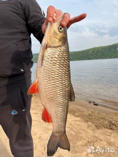 База отдыха