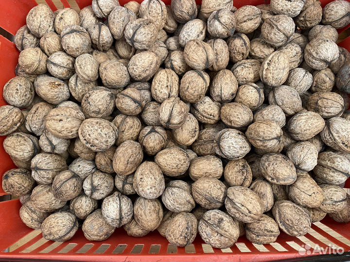 Говорящая азбука