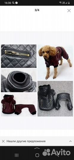 Комбинезон для собаки