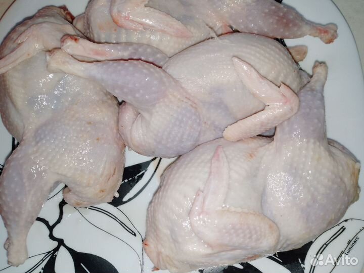 Яйца перепелиные, мясо перепела